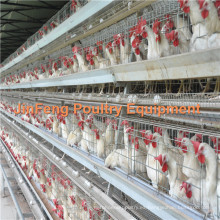 Equipo de granja de aves de corral a marco Jaula de pollo de engorde / jaula de ave / equipo de pollo